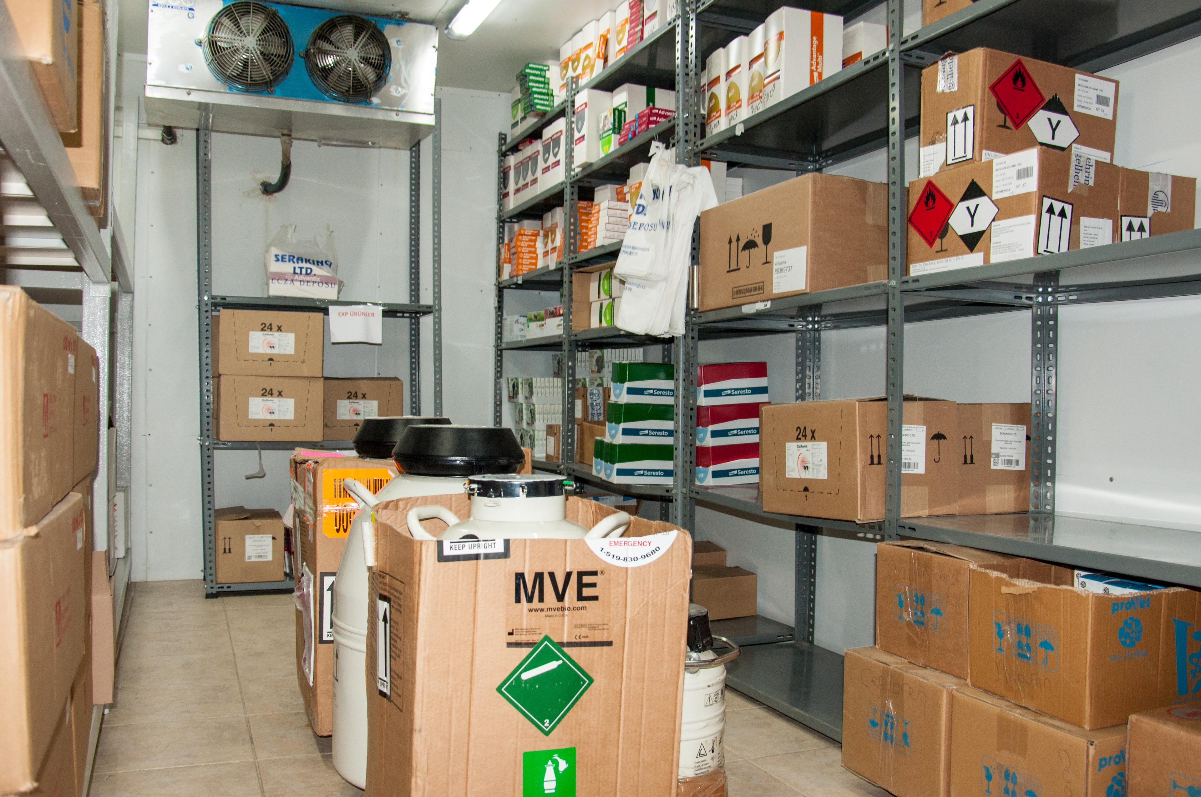 Кадр из галереи команды Serakıncı 11