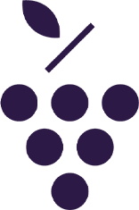 VINOPERFECT CONCENTRATED GLYCOLIC ESSENCE 100ML galeri görseli