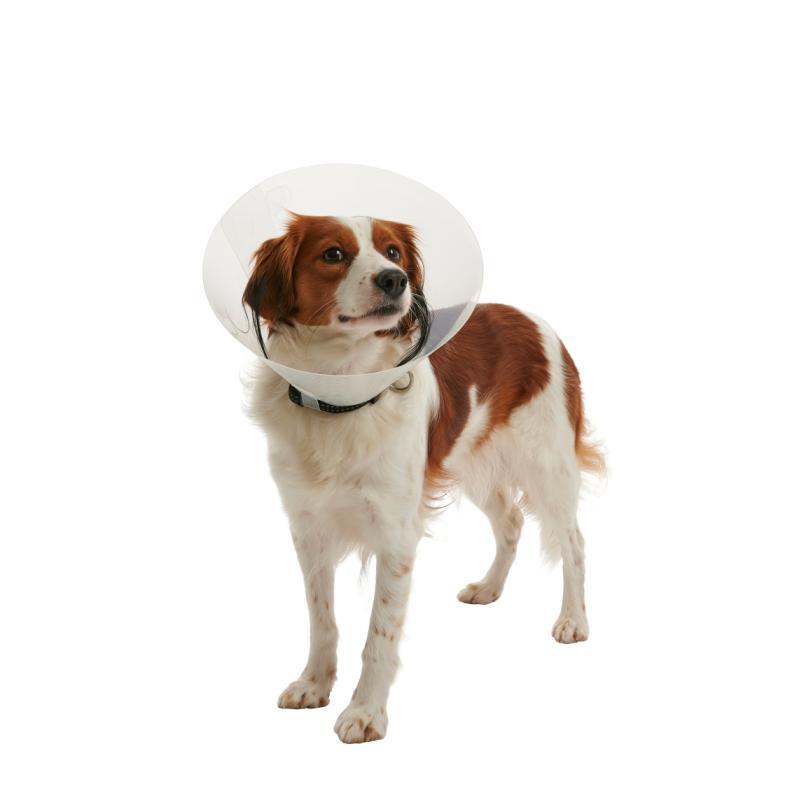 BUSTER CLİC COLLAR 12.5cm(YAKALIK KÖPEKLER İÇİN) ürün görseli