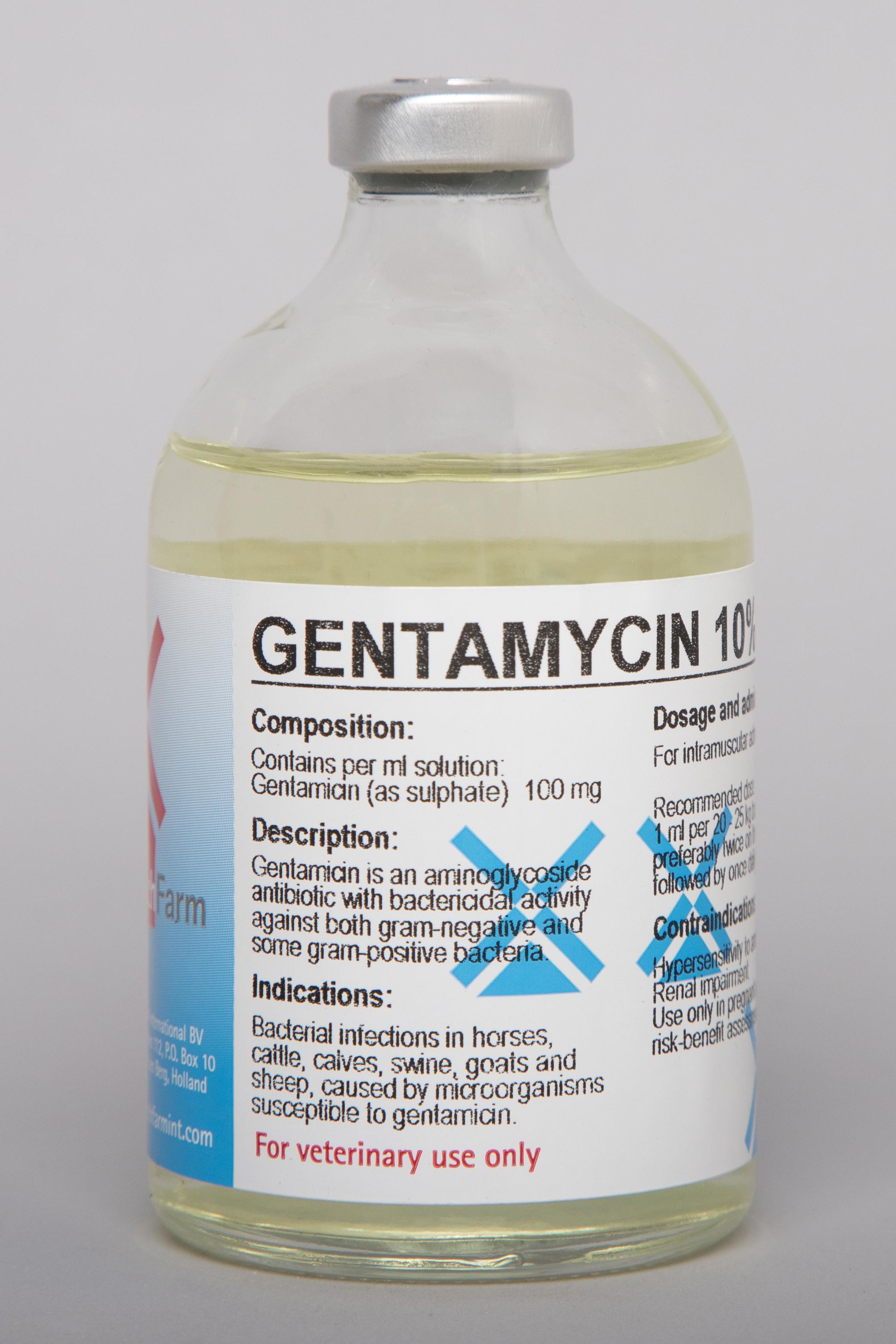 GENTA %10 100ml enj. ürün görseli