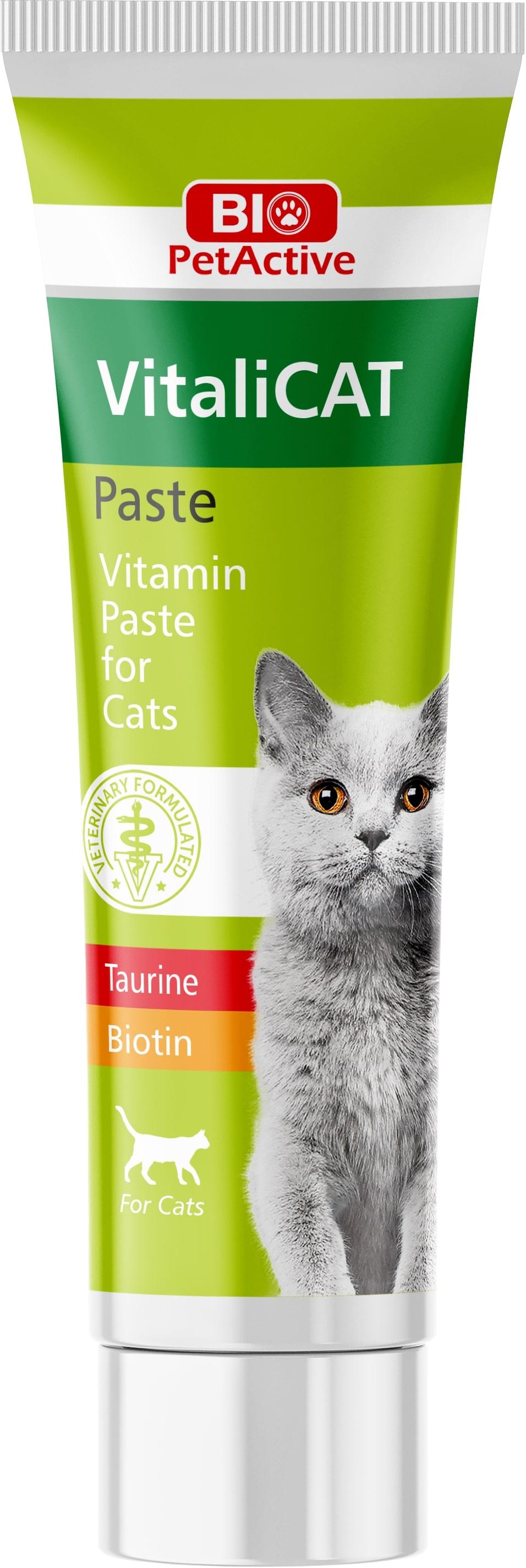 Vitalicat Paste 100ml ürün görseli