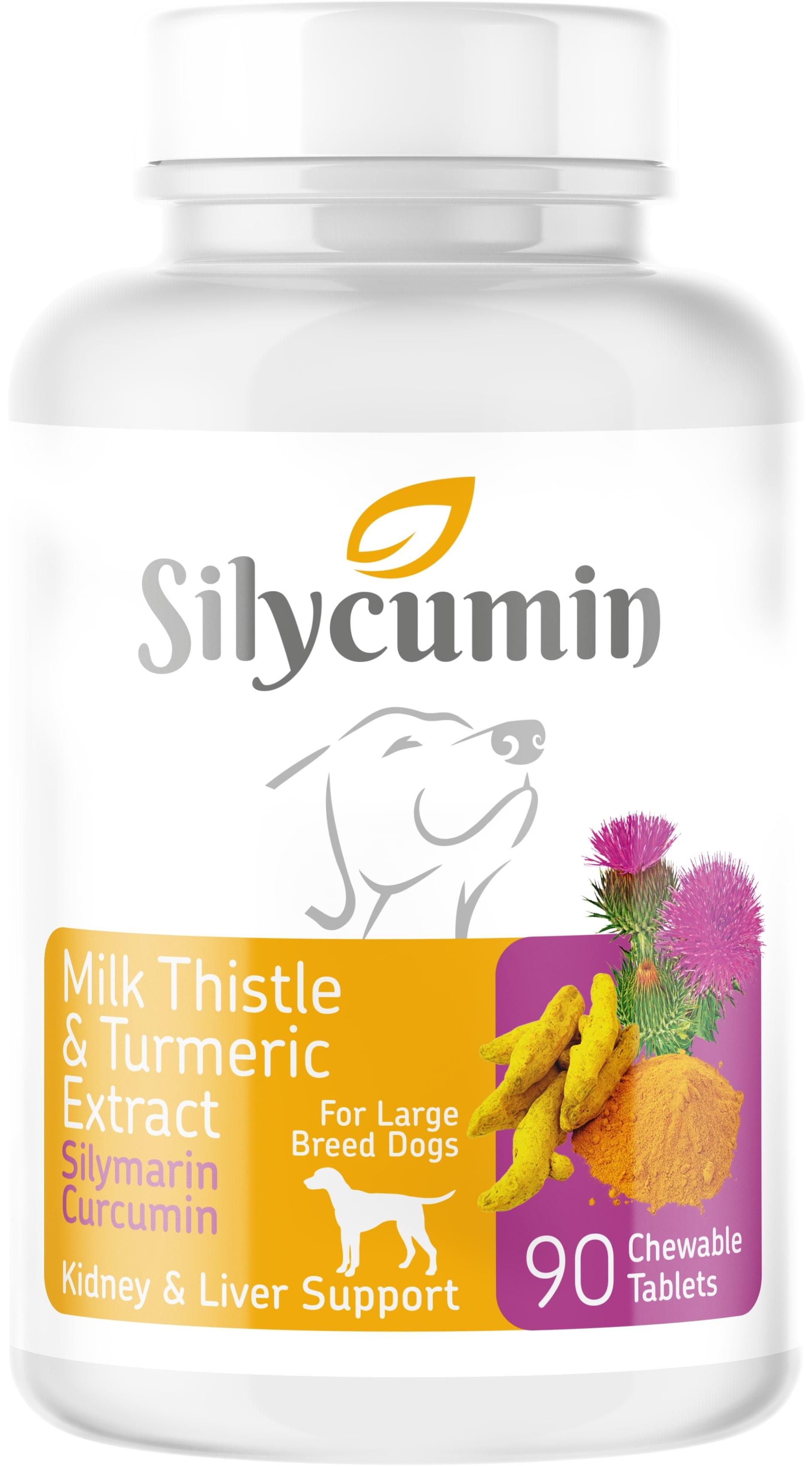 Silycumin Milk Thistle & Turmeric Extract 90tb ürün görseli
