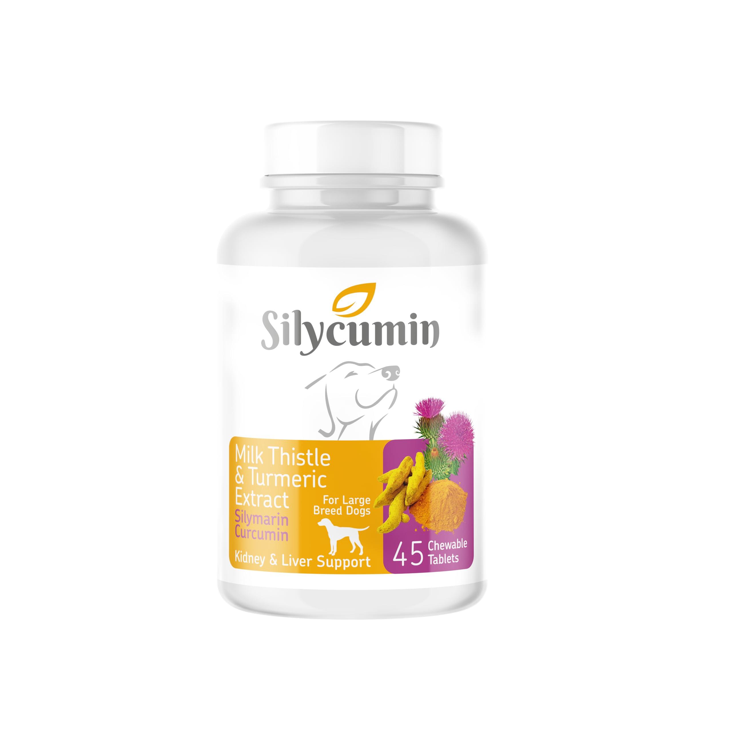 Silycumin Milk Thistle & Turmeric Extract 45tb ürün görseli