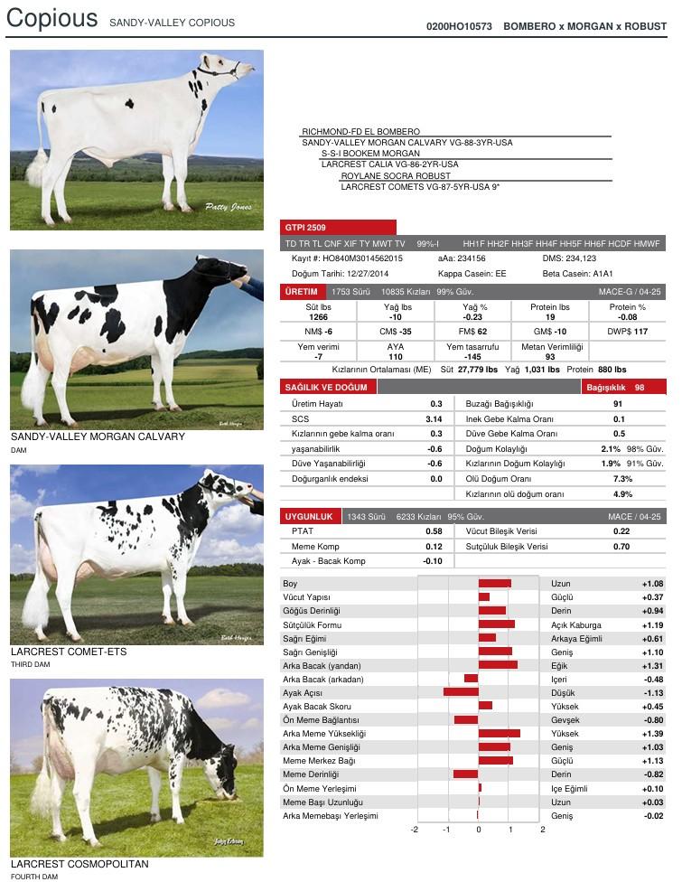 SUNİ TOHUM SANDY VALLEY COPIOUS-ET ürün görseli