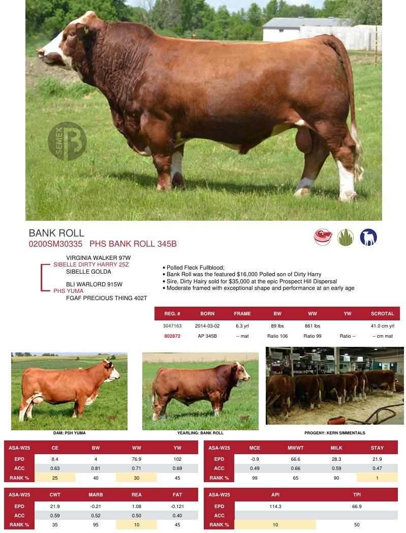 SUNİ TOHUM PHS BANK ROLL 345B ürün görseli