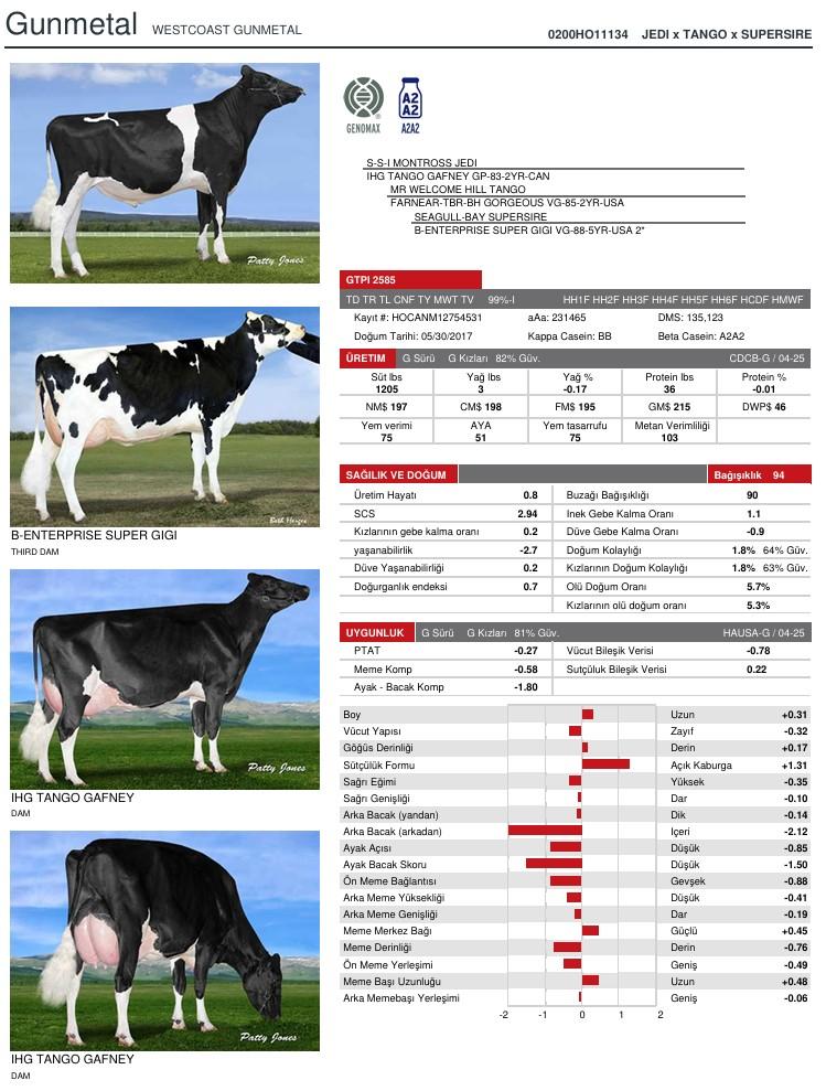 SUNİ TOHUM WESTCOAST GUNMETAL ürün görseli