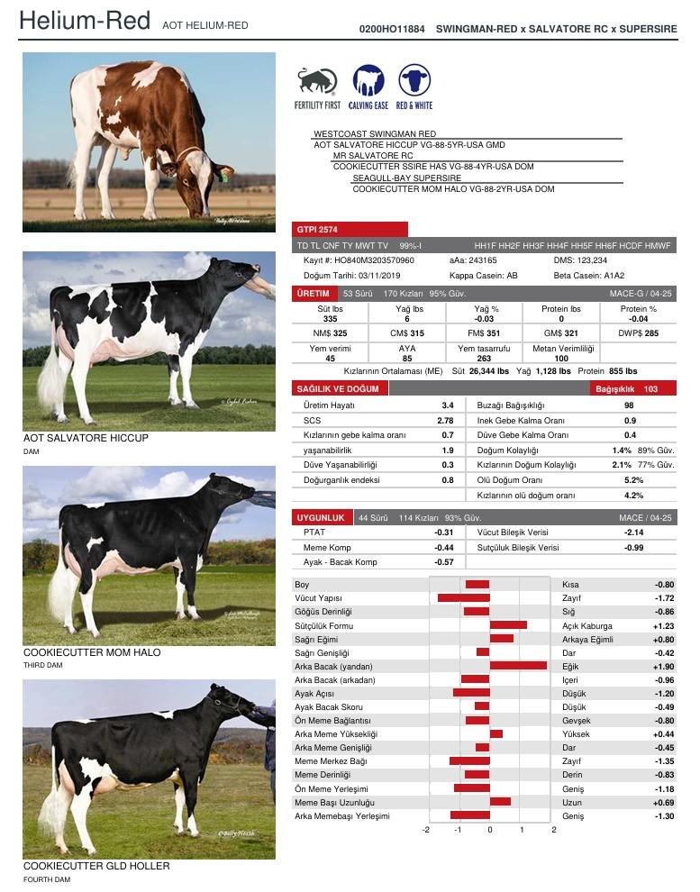 SUNİ TOHUM AOT HELIUM-RED-ET (SEXED) ürün görseli