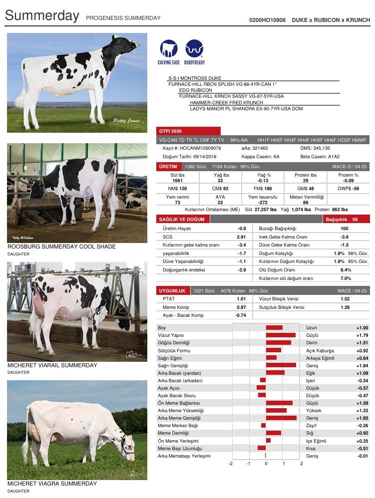 SUNİ TOHUM PROGENESIS SUMMERDAY (SEXED) ürün görseli