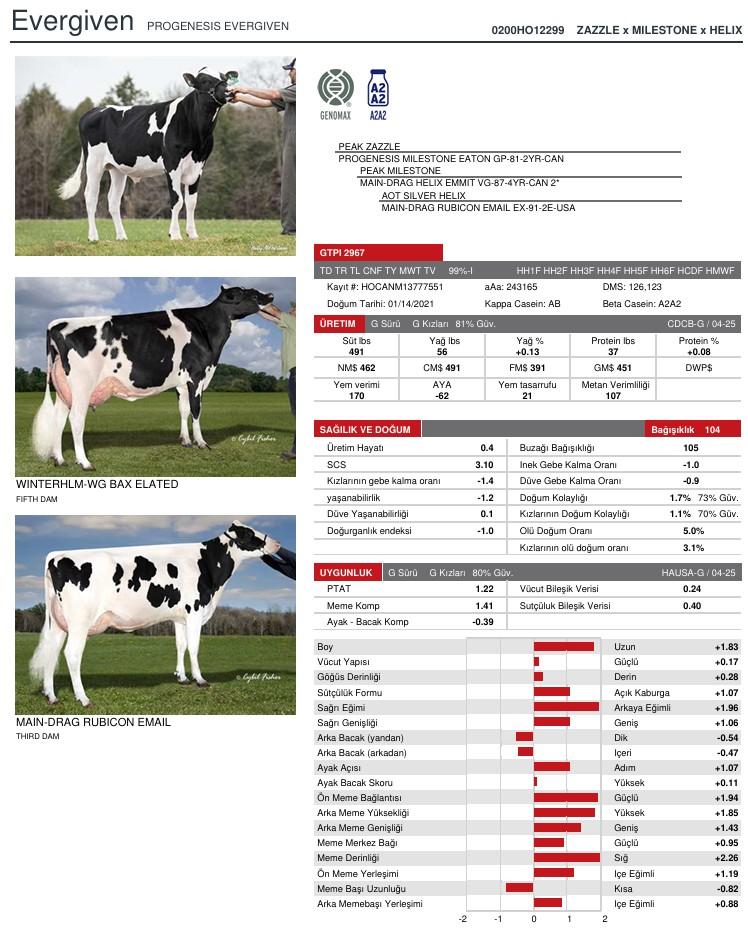 SUNİ TOHUM PROGENESIS EVERGIVEN ürün görseli