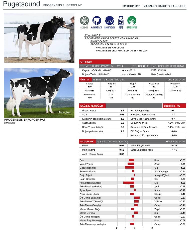 SUNİ TOHUM PROGENESIS PUGETSOUND ürün görseli