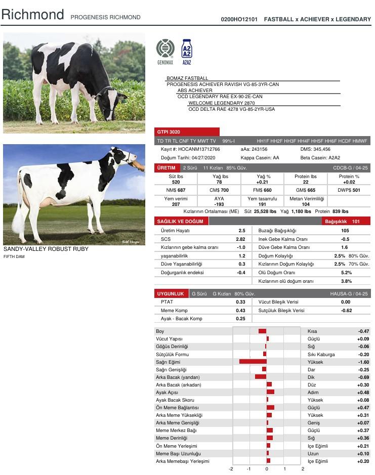 SUNİ TOHUM PROGENESIS RICHMOND ürün görseli