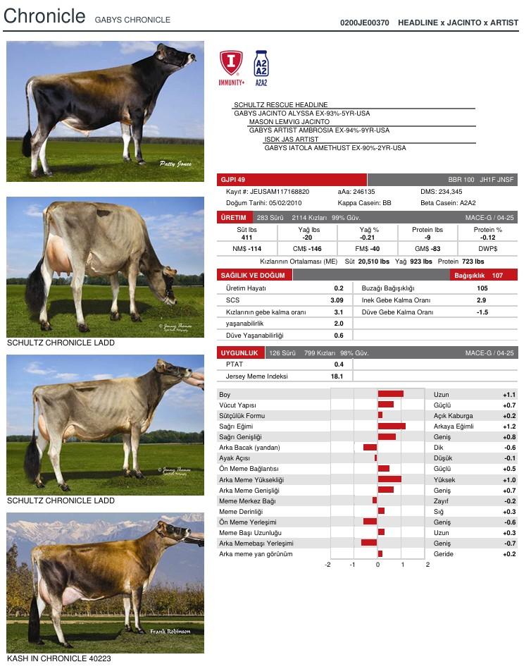 SUNİ TOHUM OCD CHRONICLE-ET ürün görseli