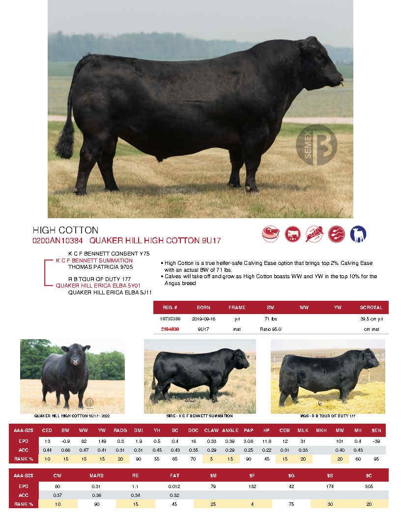 SUNİ TOHUM QUAKER HILL HIGH COTTON 9U17 ürün görseli