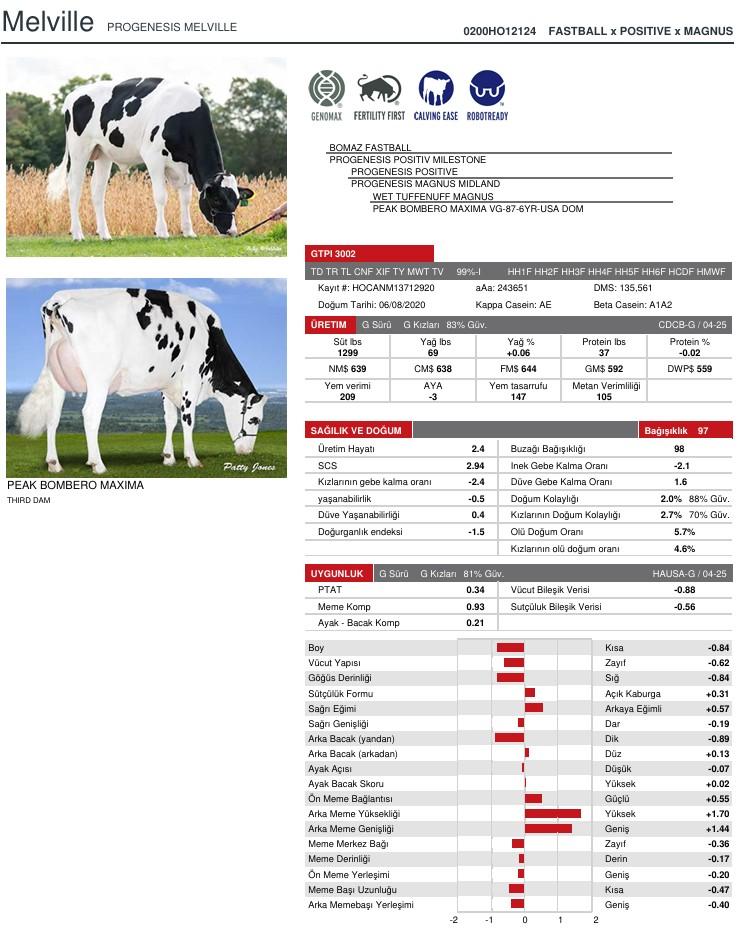 SUNİ TOHUM PROGENESIS MELVILLE (SEXED) ürün görseli