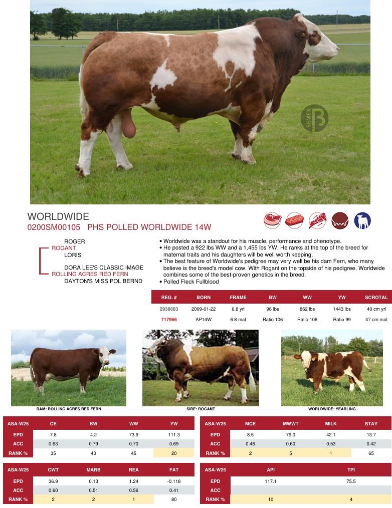SUNİ TOHUM PHS POLLED WORLDWIDE 14W ürün görseli