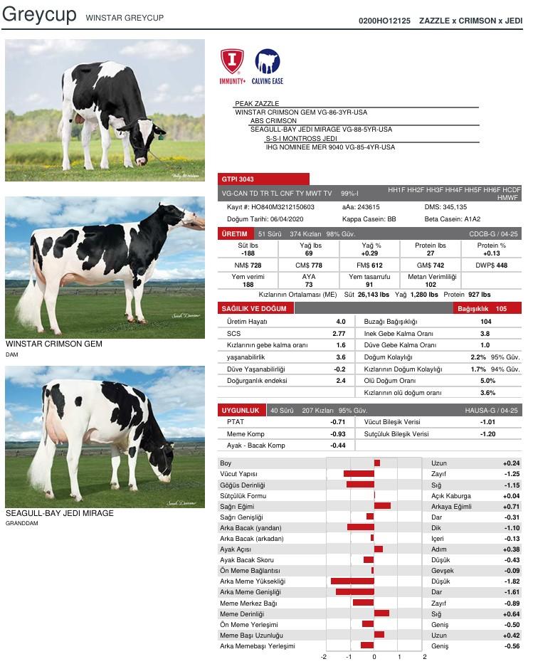 SUNİ TOHUM WINSTAR GREYCUP-ET SEXED ürün görseli