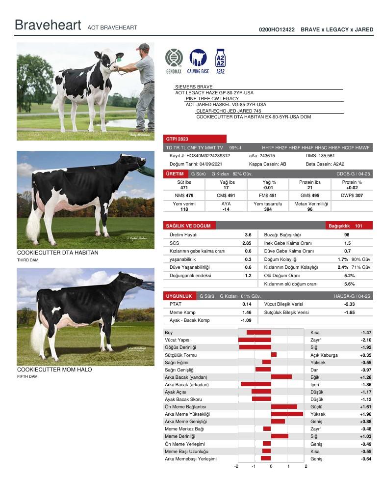 SUNİ TOHUM AOT BRAVEHEART-ET SEXED ürün görseli