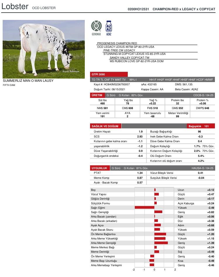 SUNİ TOHUM OCD LOBSTER-ET SEXED ürün görseli